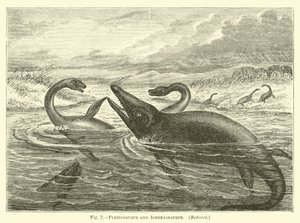 Plesiosaurus och Ichthyosaurus av English School