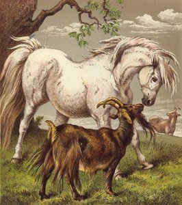 Ponny och getter (färg litho) av English School