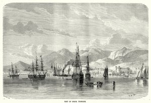 Port of Spain. Trinidad (gravyr) av English School