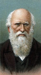 Porträtt av Charles Robert Darwin (1809-1882) - Från serien "" Leaders of Men"" - Kromolitografi - Engelska skolan, 1900-talet - av English School