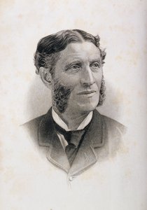 Porträtt av Matthew Arnold (1822-88), av English School