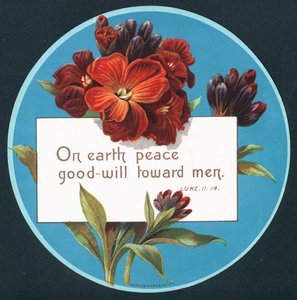 Primrosor, julkort (chromolitho) av English School