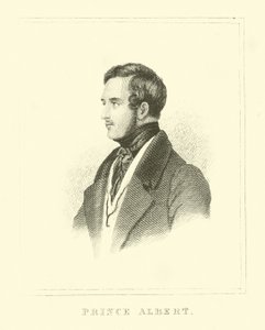 Prins Albert av English School