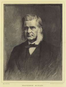 Professor Huxley (gravyr) av English School