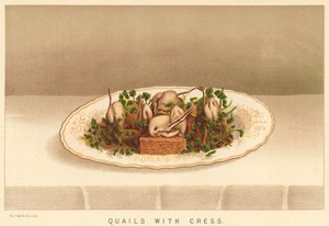 Vaktlar med krasse (färg litho) av English School