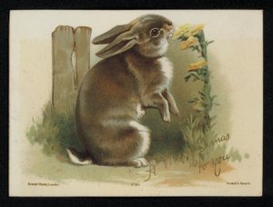 Kanin äter gula blommor, julhälsningskort. (chromolitho) av English School