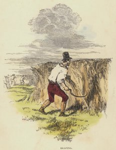 Skörda (färgad gravyr) av English School