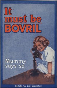 Baksidan av Bovril Handy-boken och krigets dagbok