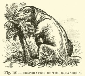 Restaurering av Iguanodon av English School