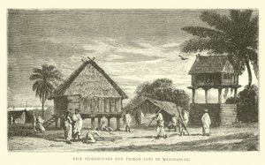 Risförråd och duvsängar på Madagaskar av English School