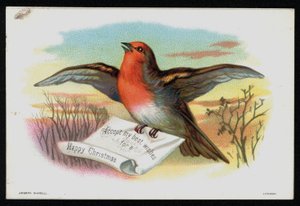 Robin med ett julmeddelande, gratulationskort. (chromolitho) av English School