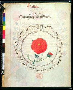 Roy II E XI f.2v Canon, med cirkulära stavar och ros i mitten, från motetter av Richard Sampson (vellum) av English School
