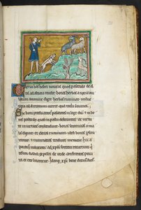 Royal 12 F.XIII, f.20 En jägare eller bonde med hundar som jagar getter.  Bestiary (ff. 3-141), Lapidary (ff. 141v-149)  2:a fjärdedelen av 1200-talet av English School