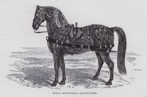 Royal Hannoverian Coach-Horse (gravyr) av English School
