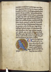 Royal MS 12 C XIX f.50v, Hoopoe, från 