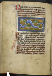 Royal MS 12 C XIX, f.63v Anguis, från 