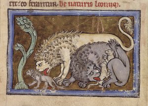 Royal MS 12 C XIX, f.6r Lions, från 