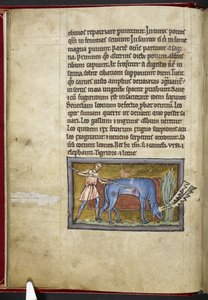 Royal MS 12 C XIX, f.7v Antilope, från 