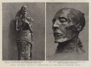 Kungliga mumier har nyligen lösts upp på Boulak-museet, Egypten (gravyr) av English School