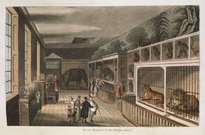Royal menagerie, Exeter (Change Exchange), Strand. Utvalda vyer av London: med historiska och beskrivande skisser av några av de mest intressanta av de offentliga byggnaderna / sammanställd och arrangerad av J.B. Papworth. John Buonarotti PapworthLondon av English School