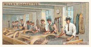 Sökning av tabeller (chromolitho) av English School