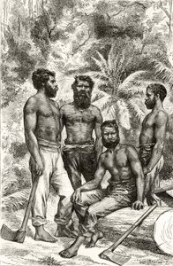 Halvciviliserade viktorianska aboriginer, från 