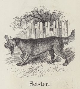 Setter (gravyr) av English School