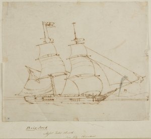 Ship Portrait - Brig Jack (penna och bläck på papper (tracing)) av English School