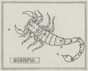 Zodiakens tecken: Skorpionen (gravyr) av English School