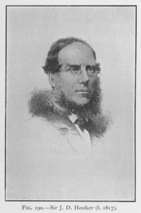 Sir Joseph Dalton Hooker (1817-1911), porträtt (litho) av English School