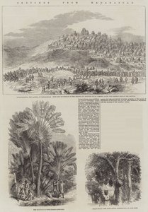 Skisser från Madagaskar (gravyr) av English School