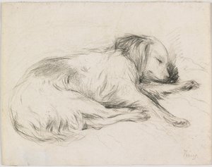 Sleeping Dog, ca 1840 (grafit på papper) av English School