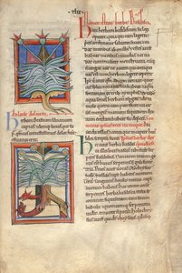 Sloane Ms 1975 fol.48 The Herb Basilica av English School