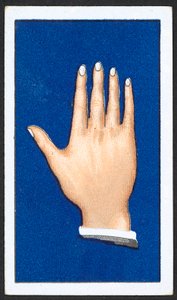 Släta spetsiga fingerhänder (färg litho) av English School