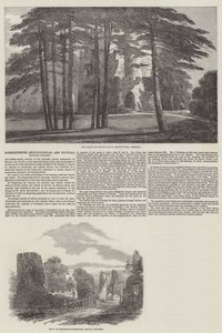 Somersetshire Archaeological and Natural History Society (gravyr) av English School