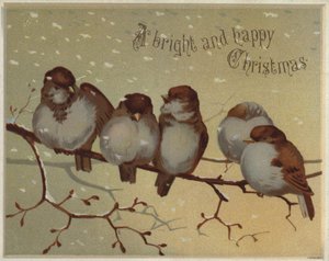 Sparvar sitter på en gren i snön (chromolitho) av English School