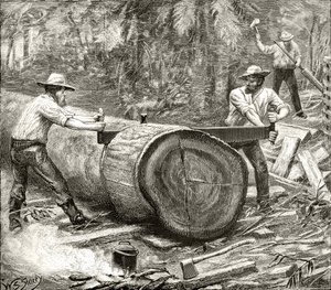 Splitters in the Bush, ca 1880, från "Australian Pictures" av Howard Willoughby, utgiven av Religious Tract Society, London, 1886. av English School