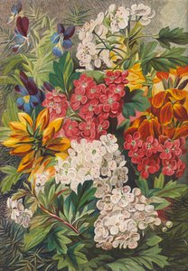 Vårblommor (färglitografi) av English School
