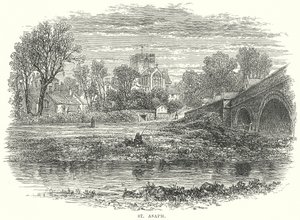 St Asaph (gravyr) av English School