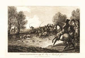 Shjortsjägare och hundar som jagar en kalvhjort i Epping Easter Hunt av English School