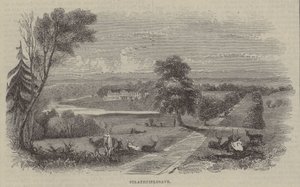 Strathfieldsaye av English School