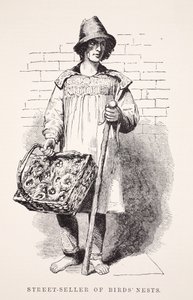 Gatusäljare av fågelbon, illustration från London Labor och London Poor av Henry Mayhew, pub. 1862 av English School