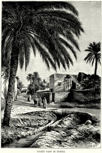 Gatuvy i Biskra (gravyr) av English School