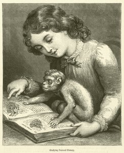 Studerar naturhistoria (gravyr) av English School