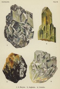 Sulfater, baryter, anglesite, celestite (färg litho) av English School