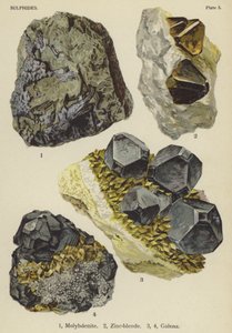 Sulfider, molybdenit, zinkblandning, galena (färg litho) av English School