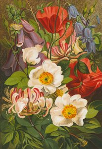 Sommarblommor (färglitografi) av English School