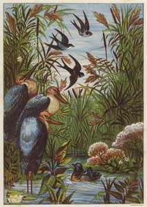 Sommarmorgon med fåglar (färg litho) av English School