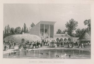 Surrey Zoological Gardens av English School