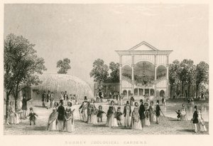 Surrey Zoological Gardens, Kennington, London: den nya orkestern av English School